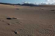 Fuerteventura - Corralejo - Parque Natural de Corralejo