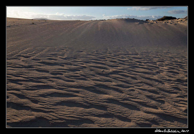 Fuerteventura - Corralejo - Parque Natural de Corralejo