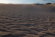 Fuerteventura - Corralejo - Parque Natural de Corralejo