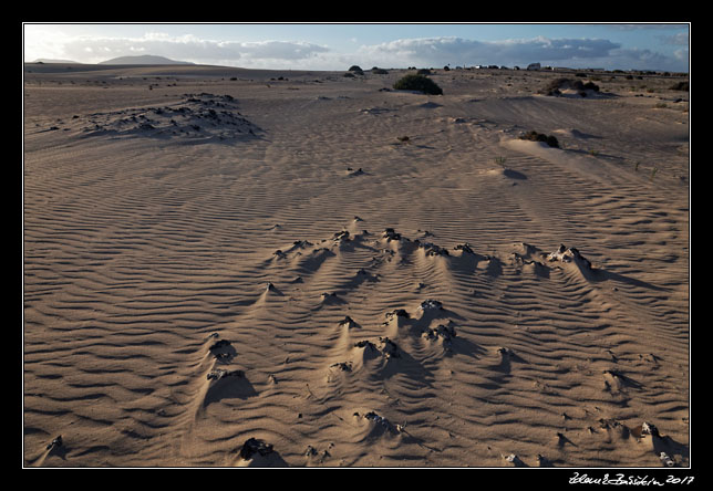 Fuerteventura - Corralejo -