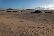 Fuerteventura - Corralejo - Parque Natural de Corralejo