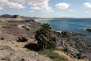  Fuerteventura - El Cotillo -