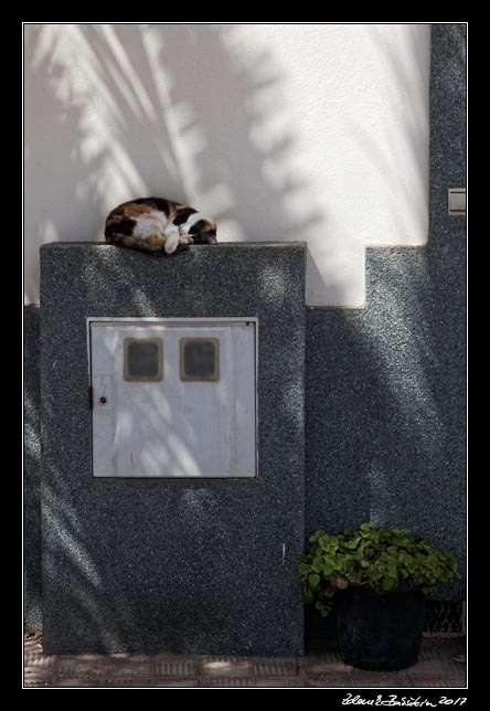  Fuerteventura - La Oliva -