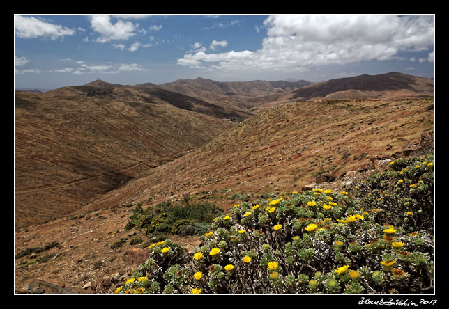  Fuerteventura - Antigua - Mirador de Morro Velosa