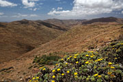  Fuerteventura - Antigua - Mirador de Morro Velosa