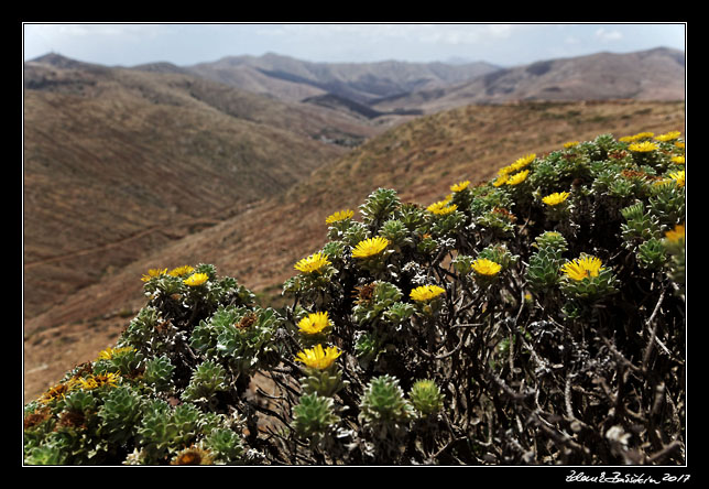  Fuerteventura - Antigua - Mirador de Morro Velosa