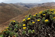  Fuerteventura - Antigua - Mirador de Morro Velosa