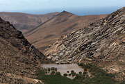  Fuerteventura - Barranco de las Penitas -