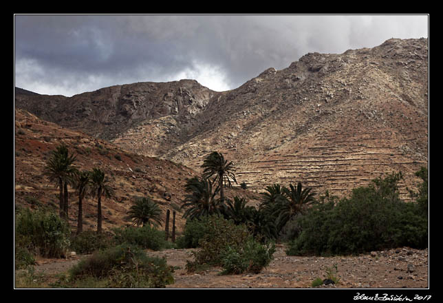  Fuerteventura - Barranco de las Penitas -