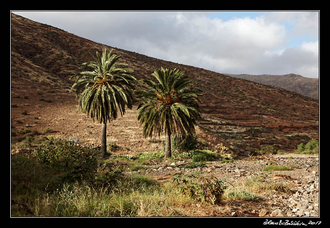  Fuerteventura - Barranco de las Penitas -