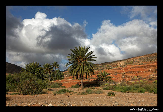  Fuerteventura - Barranco de las Penitas -