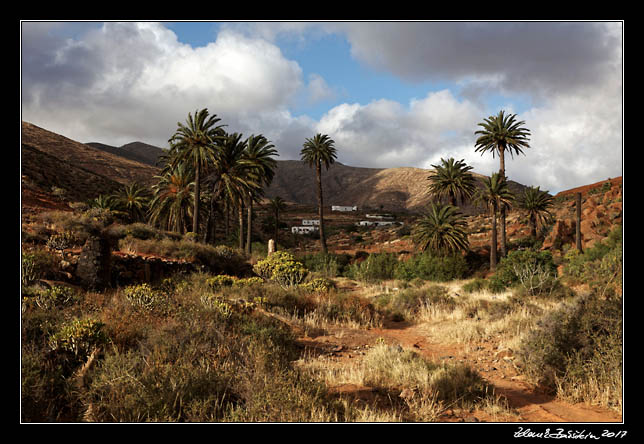  Fuerteventura - Barranco de las Penitas - Vega de Rio Palmas