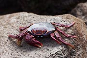 Fuerteventura - Caleta de Fuste -