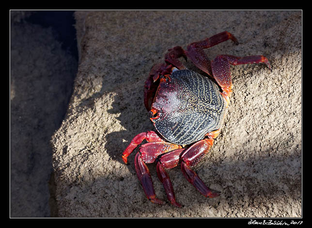 Fuerteventura - Caleta de Fuste -