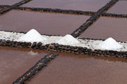 Fuerteventura - Salinas del Carmen -