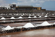 Fuerteventura - Salinas del Carmen -