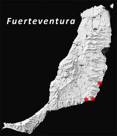 Fuerteventura - Pozo Negro -