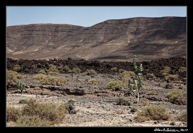 Fuerteventura - Pozo Negro - Barranco de la Poca de Pozo Negro