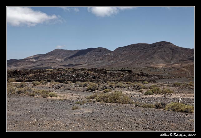 Fuerteventura - Pozo Negro - La Atalayita