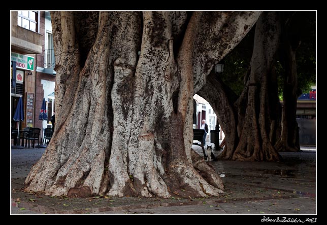 La Gomera - San Sebastian -