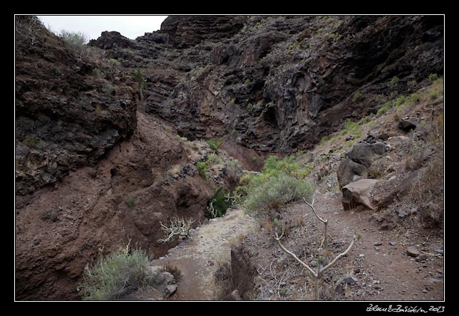   La Gomera  - Barranco de Argaga -