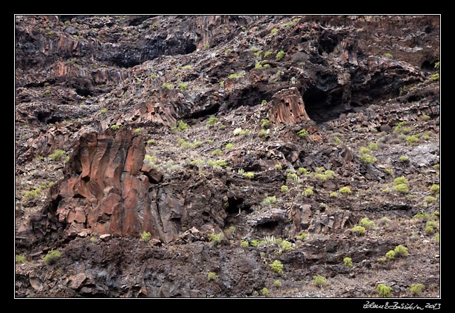 La Gomera - Barranco de Argaga -