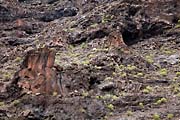 La Gomera - Barranco de Argaga -