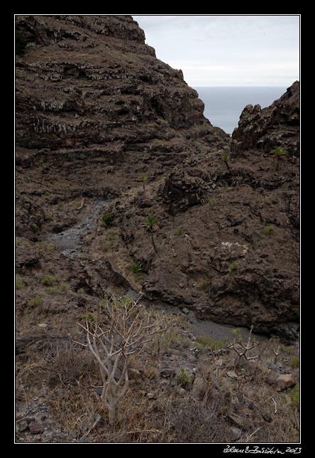 La Gomera  - Barranco de Argaga