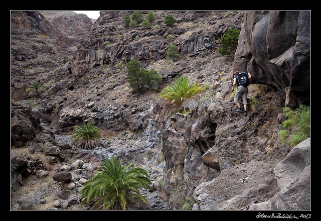 La Gomera  - Barranco de Argaga