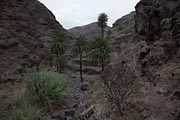 La Gomera  - Barranco de Argaga