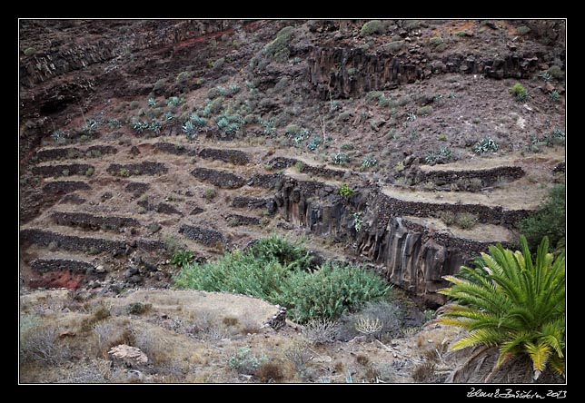 La Gomera  - Barranco de Argaga