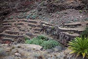 La Gomera  - Barranco de Argaga