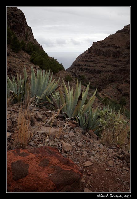 La Gomera - Barranco de Argaga