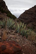 La Gomera - Barranco de Argaga