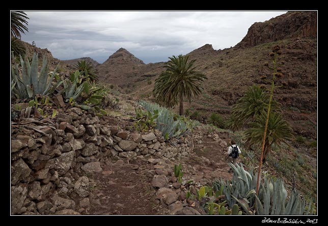 La Gomera - Barranco de Argaga