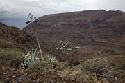 La Gomera - Valle Gran Rey