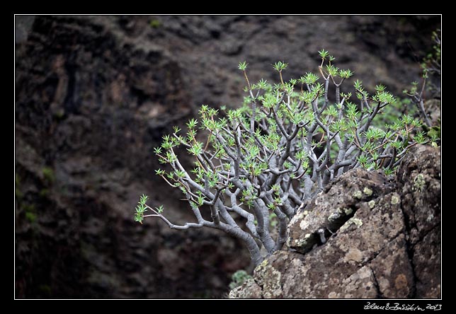 La Gomera - Valle Gran Rey