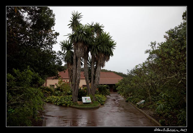 La Gomera - Garajonay - Juego de Bolas