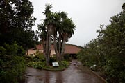 La Gomera - Garajonay - Juego de Bolas