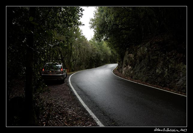  La Gomera - Garajonay -