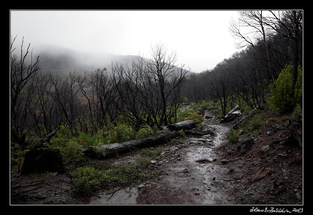 La Gomera - Laguna Grande -