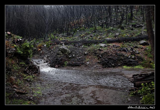 La Gomera - Laguna Grande - it`s raining...