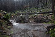 La Gomera - Laguna Grande - it`s raining...