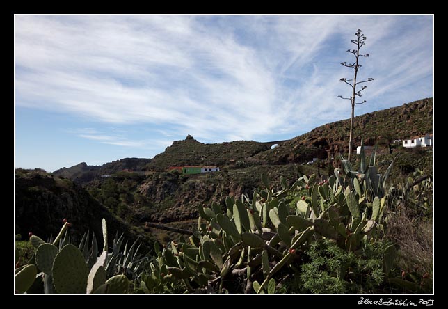 La Gomera - Arure - Arure