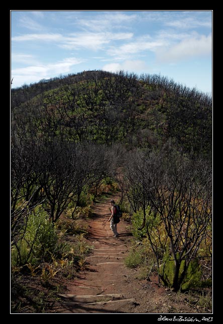 La Gomera - Alto de Garajonay - Alto de Garajonay