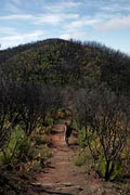 La Gomera - Alto de Garajonay - Alto de Garajonay