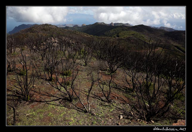 La Gomera - Alto de Garajonay - a view to the east