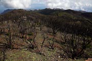 La Gomera - Alto de Garajonay - a view to the east