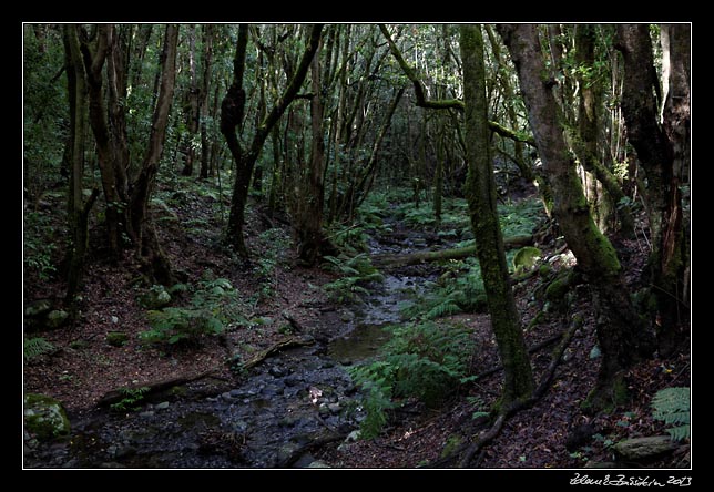 La Gomera - El Cedro - Barranco del Cedro