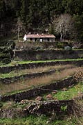 La Gomera - El Cedro - El Cedro